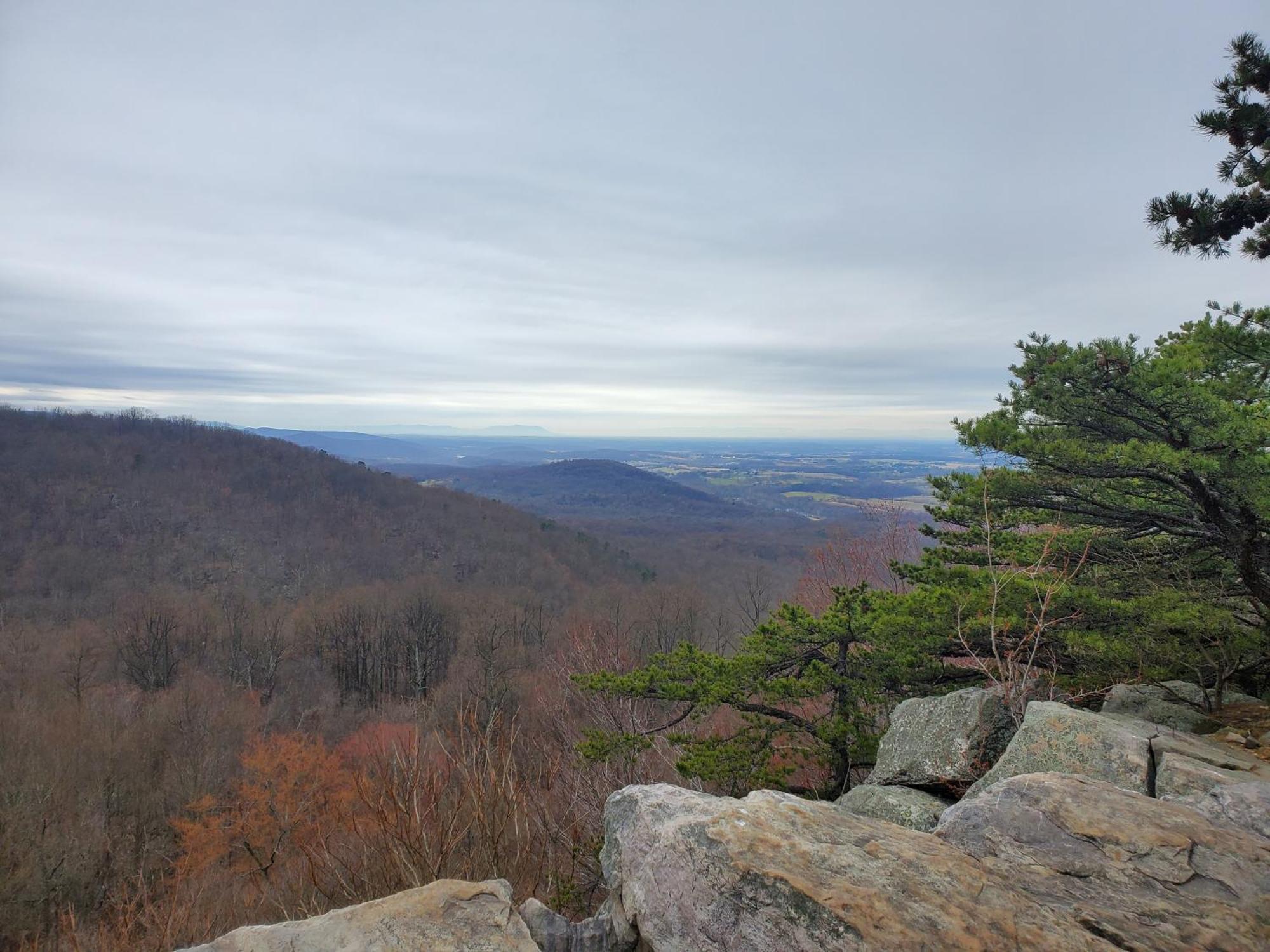 Mountain